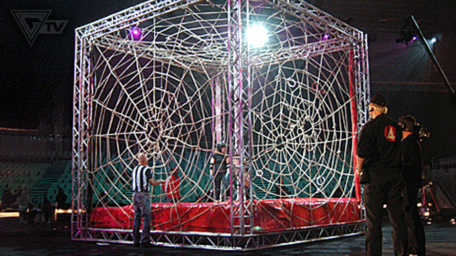 Spider Cage was an event used on the Swedish Gladiators (Gladiatorerna) series.