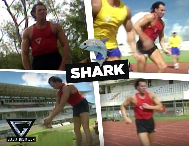 Shark training at the Gladiators training camp in Mauritius.